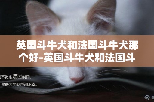 英國斗牛犬和法國斗牛犬那個好-英國斗牛犬和法國斗牛犬的區別