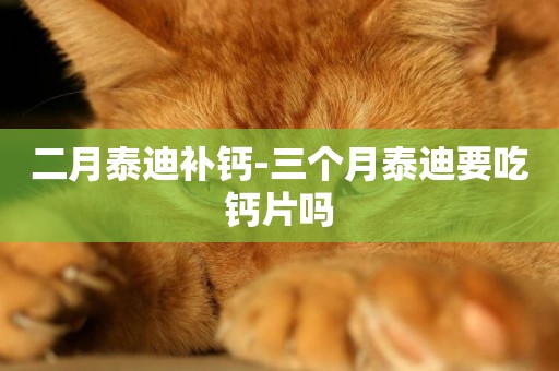 二月泰迪補鈣-三個月泰迪要吃鈣片嗎