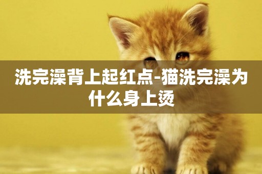 洗完澡背上起紅點-貓洗完澡為什么身上燙