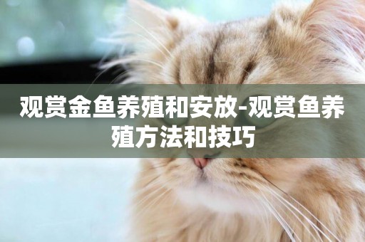 觀賞金魚養殖和安放-觀賞魚養殖方法和技巧