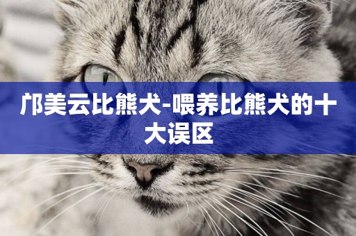 鄺美云比熊犬-喂養比熊犬的十大誤區