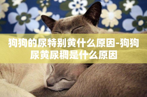 狗狗的尿特別黃什么原因-狗狗尿黃尿稠是什么原因