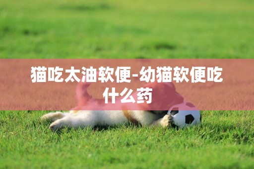 貓吃太油軟便-幼貓軟便吃什么藥