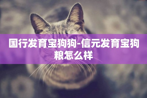 國行發育寶狗狗-信元發育寶狗糧怎么樣