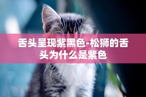 舌頭呈現紫黑色-松獅的舌頭為什么是紫色
