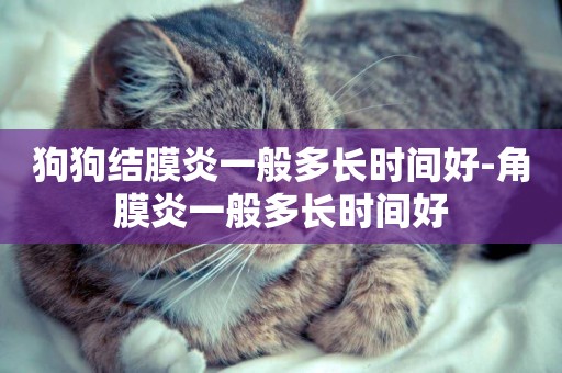 狗狗結膜炎一般多長時間好-角膜炎一般多長時間好