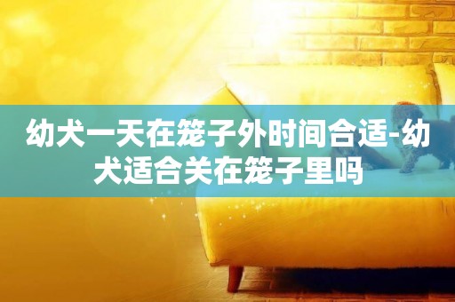 幼犬一天在籠子外時間合適-幼犬適合關在籠子里嗎