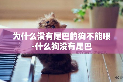 為什么沒有尾巴的狗不能喂-什么狗沒有尾巴