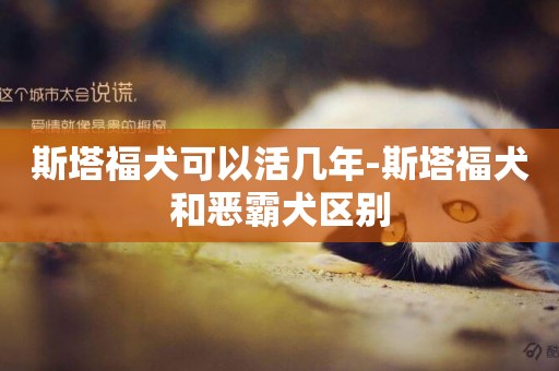斯塔福犬可以活幾年-斯塔福犬和惡霸犬區別