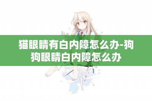 貓眼睛有白內障怎么辦-狗狗眼睛白內障怎么辦