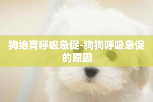 狗絕育呼吸急促-狗狗呼吸急促的原因