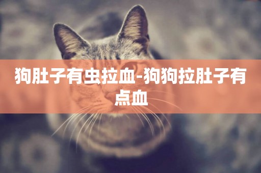 狗肚子有蟲拉血-狗狗拉肚子有點血