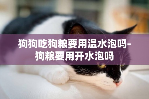 狗狗吃狗糧要用溫水泡嗎-狗糧要用開水泡嗎