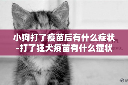 小狗打了疫苗后有什么癥狀-打了狂犬疫苗有什么癥狀