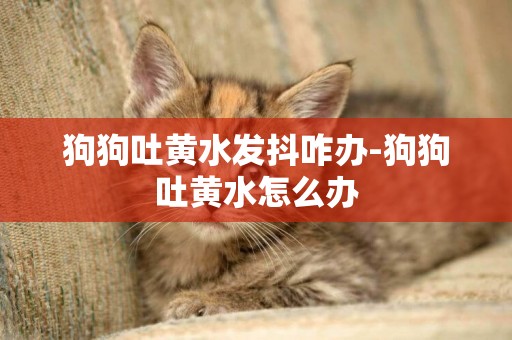 狗狗吐黃水發抖咋辦-狗狗吐黃水怎么辦