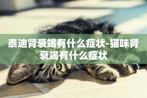 泰迪腎衰竭有什么癥狀-貓咪腎衰竭有什么癥狀