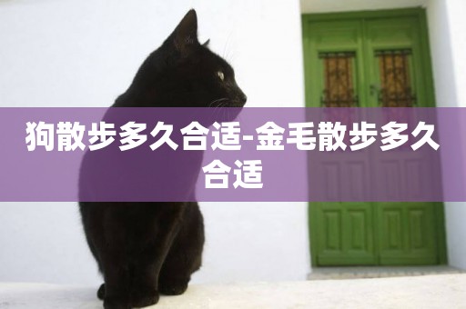 狗散步多久合適-金毛散步多久合適