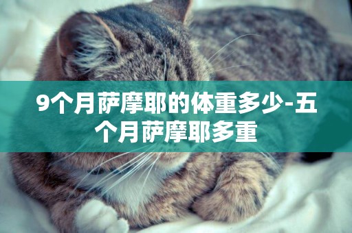 9個月薩摩耶的體重多少-五個月薩摩耶多重