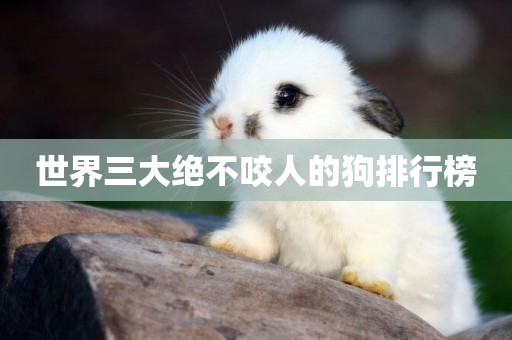 世界三大絕不咬人的狗排行榜