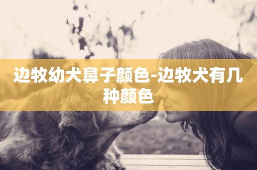 邊牧幼犬鼻子顏色-邊牧犬有幾種顏色