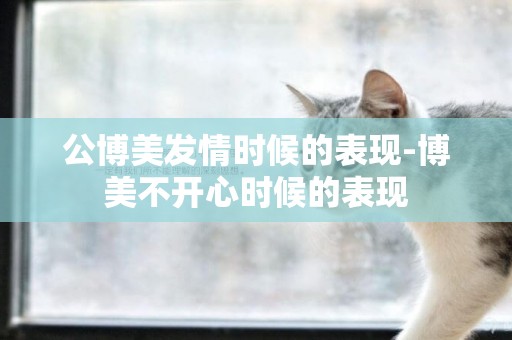 公博美發情時候的表現-博美不開心時候的表現