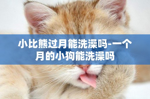 小比熊過月能洗澡嗎-一個月的小狗能洗澡嗎