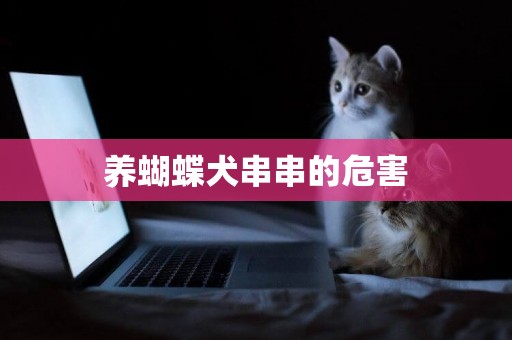 養蝴蝶犬串串的危害