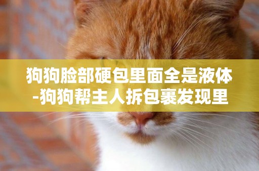 狗狗臉部硬包里面全是液體-狗狗幫主人拆包裹發現里面都是書