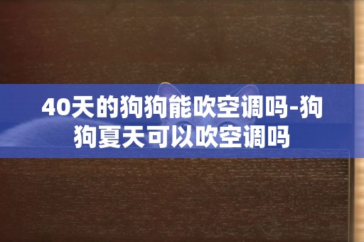 40天的狗狗能吹空調嗎-狗狗夏天可以吹空調嗎