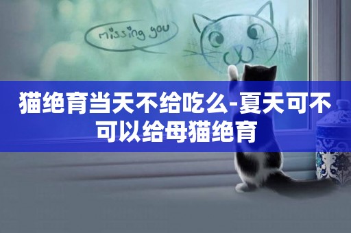 貓絕育當天不給吃么-夏天可不可以給母貓絕育