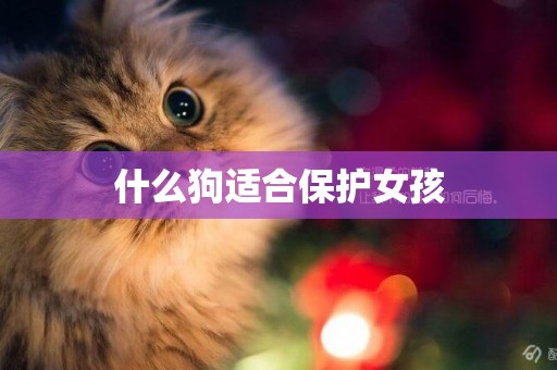 什么狗適合保護女孩