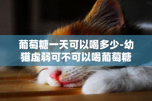 葡萄糖一天可以喝多少-幼貓虛弱可不可以喝葡萄糖