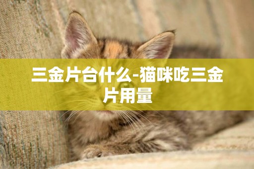 三金片臺什么-貓咪吃三金片用量
