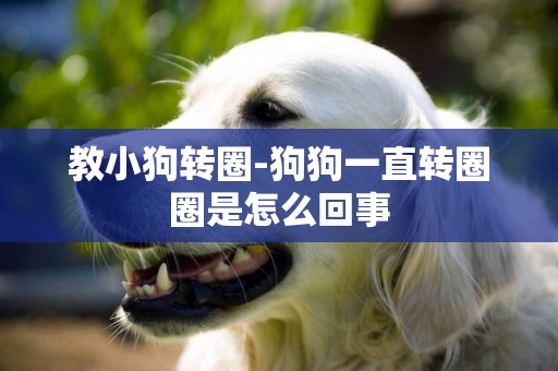 教小狗轉圈-狗狗一直轉圈圈是怎么回事