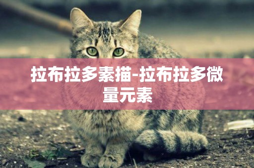 拉布拉多素描-拉布拉多微量元素