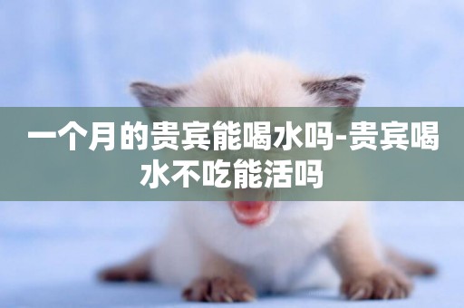 一個月的貴賓能喝水嗎-貴賓喝水不吃能活嗎