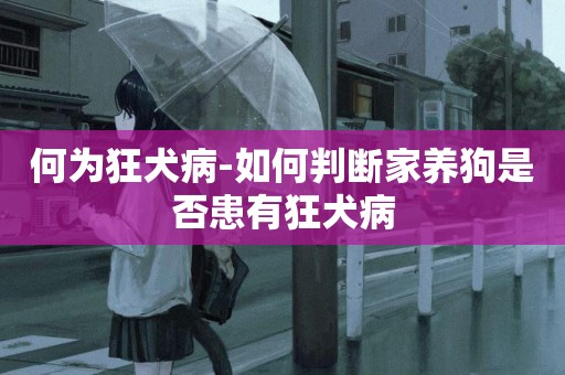 何為狂犬病-如何判斷家養狗是否患有狂犬病