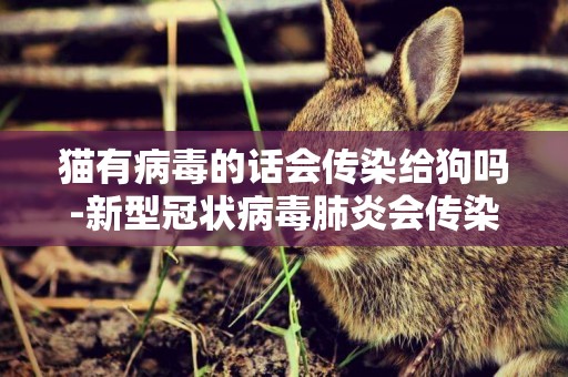 貓有病毒的話會傳染給狗嗎-新型冠狀病毒肺炎會傳染給狗嗎