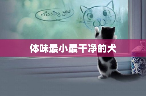 體味最小最干凈的犬
