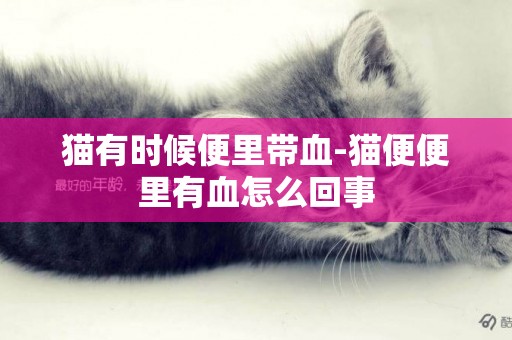 貓有時候便里帶血-貓便便里有血怎么回事
