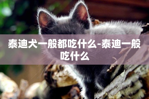 泰迪犬一般都吃什么-泰迪一般吃什么