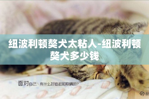 紐波利頓獒犬太粘人-紐波利頓獒犬多少錢