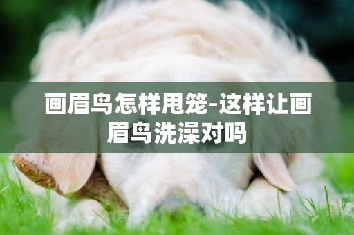 畫眉鳥怎樣甩籠-這樣讓畫眉鳥洗澡對嗎