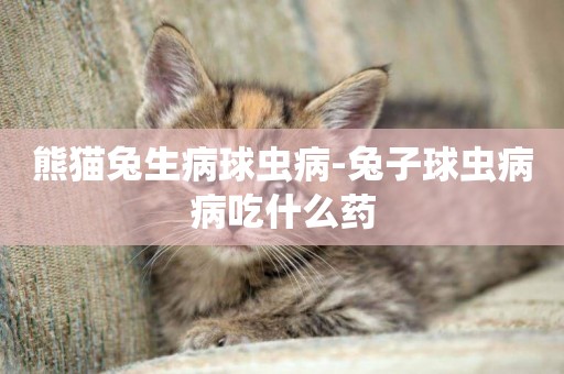 熊貓兔生病球蟲病-兔子球蟲病病吃什么藥