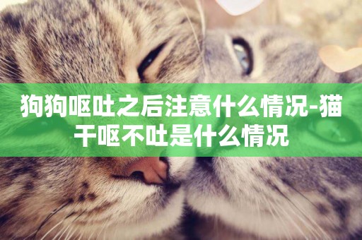 狗狗嘔吐之后注意什么情況-貓干嘔不吐是什么情況