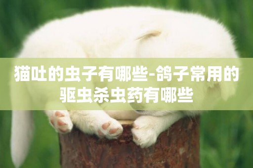 貓吐的蟲子有哪些-鴿子常用的驅蟲殺蟲藥有哪些