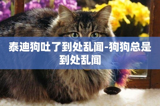 泰迪狗吐了到處亂聞-狗狗總是到處亂聞