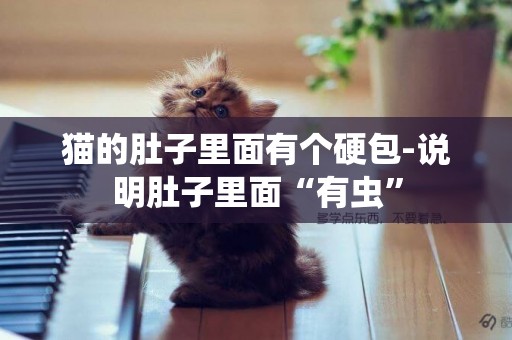 貓的肚子里面有個硬包-說明肚子里面“有蟲”