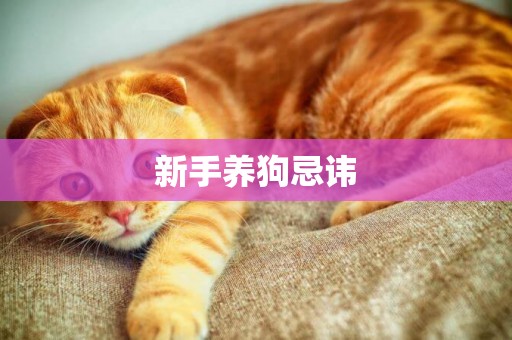新手養狗忌諱