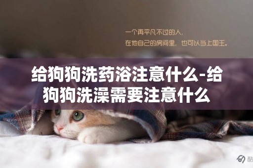 給狗狗洗藥浴注意什么-給狗狗洗澡需要注意什么